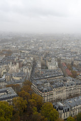 Naklejka premium Gloomy Paris from Tour Eiffel