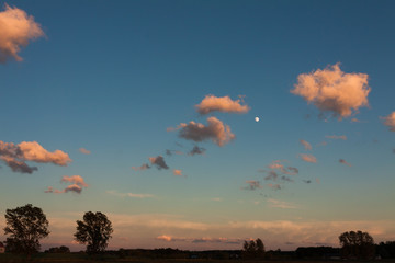 Evening sky. Orange clouds, moon, trees on the horizon.
