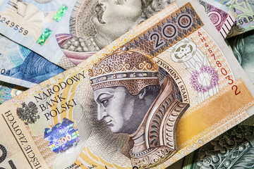 polish money background