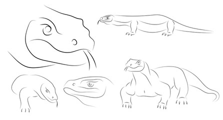 Running black line varan, dragon Komodo, on white background. Sketch style. Vector graphic icon animal.