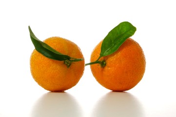 tangerines with leaves isolated on white background