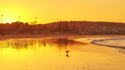 Beautiful sky on the coast, the sea and the ocean, dawn