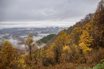autumn hillside in the blue ridge mountains