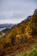 colorful autumn hillside on the blue ridge parkway