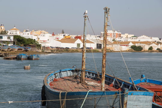 Boats for fishing tuna fish in Barbate harbor Andalusia Spain