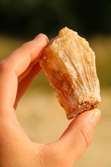 Edelsteine begutachten