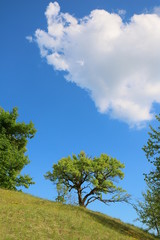 Obraz premium Altmühltal - Eichstätter Frauenberg