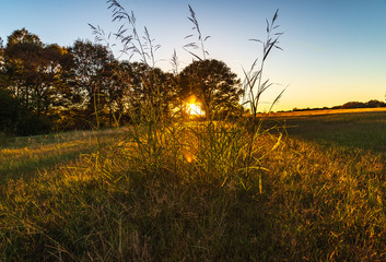 Fall Colors in the South
