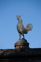 Coq Fran&ccedil;ais sur le toit