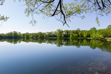 spring reflection on a pond