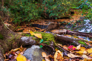Beauty in the Mountains