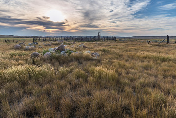 Corral in Grasslands National Park