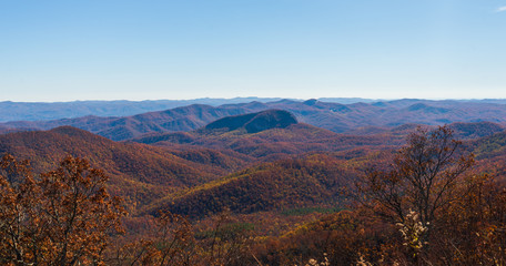 Fall Colors in The South