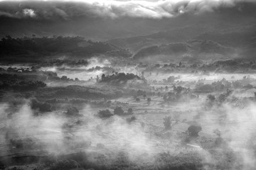 B&W Morning mist in Phu Lanka