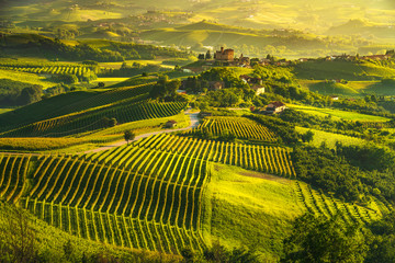 Langhe vineyards sunset panorama, Grinzane Covour, Piedmont, Italy Europe.