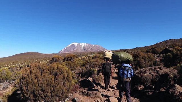 Static shot of a group of people hiking, towards the summit of mount Kilimanjaro, carrying stuff on their head, on a sunny day, near Horombo hut, in Tanzania, Africa