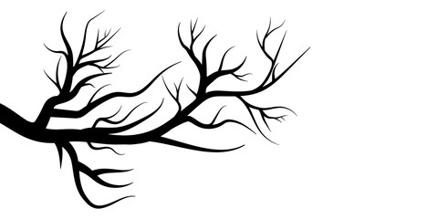 tree branches isolated