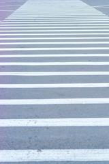 Zebra pedestrian crossing. city road