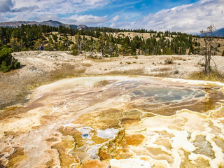 Geyser field at Yellowstone