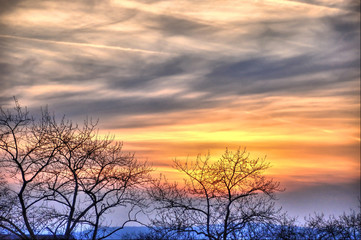 Fototapeta na wymiar Beautiful sunset with trees silhouettes in Fulda, Hessen, German