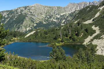 Naklejka na ściany i meble Amazing Landscape with Fish Vasilashko lake, Pirin Mountain, Bulgaria