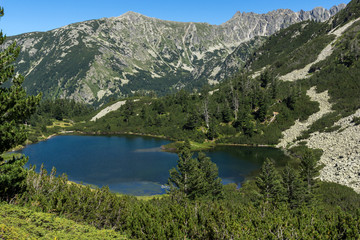 Obraz na płótnie Canvas Amazing Landscape with Fish Vasilashko lake, Pirin Mountain, Bulgaria