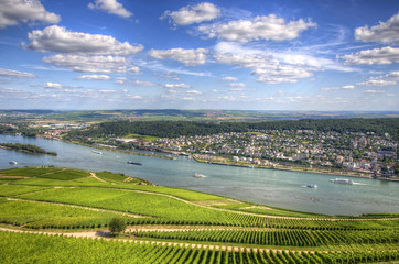 Fototapeta na wymiar Vineyards on the bank of Rhein river, Ruedesheim, Rhein-main-pfa