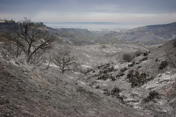 Scorched landscape after California wildfires