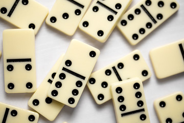 Domino game on white