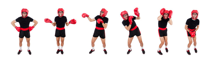 Funny boxer isolated on the white