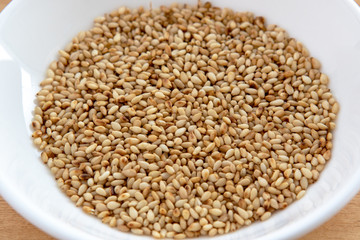 胡麻の写真素材