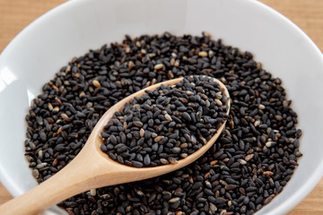 胡麻の写真素材