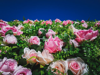 Artificial Flowers Wall for background