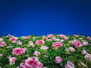 Artificial Flowers Wall for background