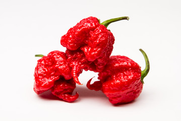 Carolina Reaper - Super-hot Pepper