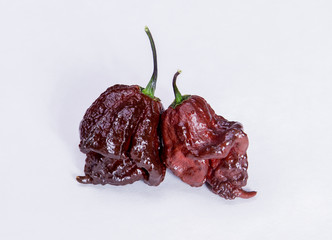 Chocolate Primo Reaper - Super Hot Pepper group 1