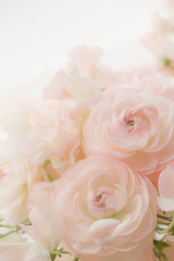 ラナンキュラスとスイートピー