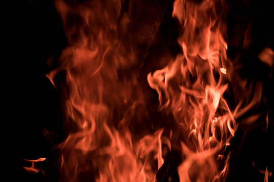 Fuego