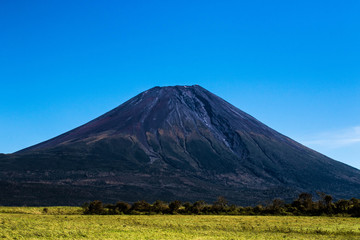 Fototapeta premium 朝霧に聳える富士