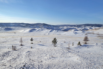Winter landscape with little trees