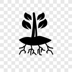 Plant and root vector icon isolated on transparent background, Plant and root transparency logo design
