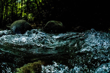 渓流の水遊び