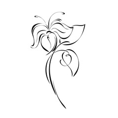 Fototapeta premium one stylized flower on a stem with leaves in black lines on a white background