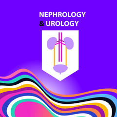 Template simple style logo, banner, poster, flyer for medical clinic, cabinet. Concept image nephrology, urology, urogenital system, kidney, ureter and bladder. Vector illustration