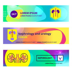 Template simple style logo, poster, flyer for medical clinic, cabinet, forum. Concept banner nephrology, urology, urogenital system, kidney, ureter and bladder. Vector illustration