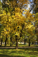 Naklejka premium Park in Bitola. Macedonia