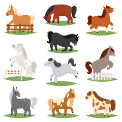 Cartoon horse vector cute animal of horse-breeding or kids equestrian and horsey or equine stallion illustration childly animalistic horsy set of little pony character isolated on white background