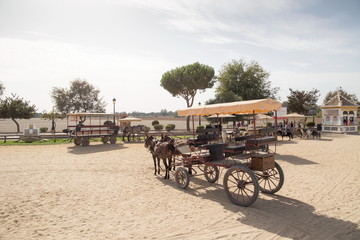 Carriage in El Rocio Huelva Andalusia Spain