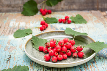 A handful of hawthorn berries with leaves on a plate on a rustic background