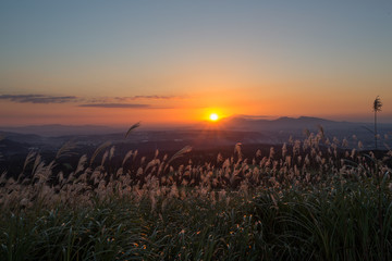 俵山